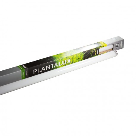 Zářivka PLANTALUX T8 15W