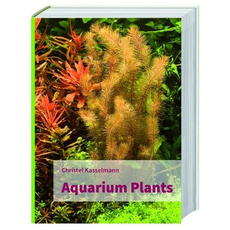 Aquarium plants