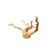 Kořen AMANO wood K1