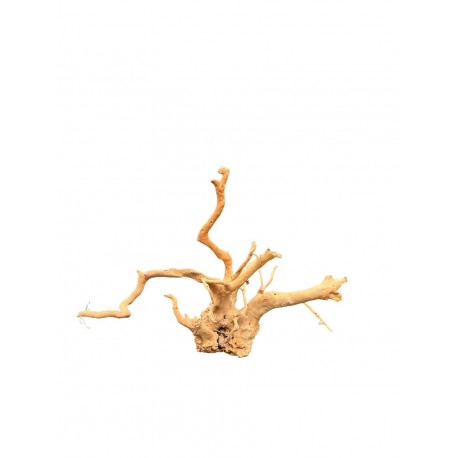 Kořen AMANO wood K2