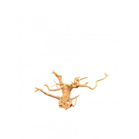 Kořen AMANO wood K3