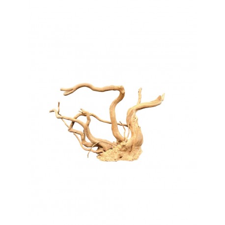 Kořen AMANO wood K5