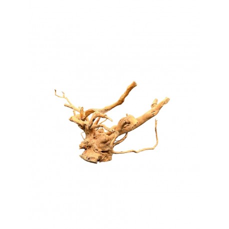 Kořen AMANO wood K6