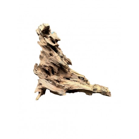 Kořen DRAGON wood K2