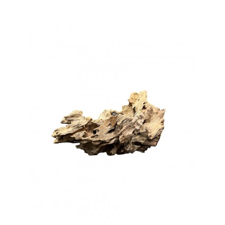Kořen DRAGON wood K4