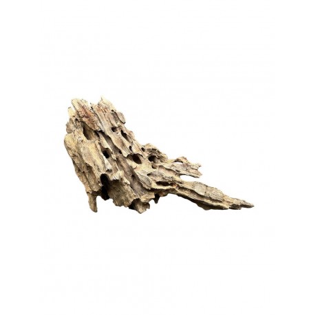 Kořen DRAGON wood K6