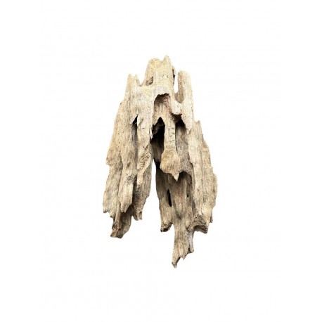 Kořen DRAGON wood K7