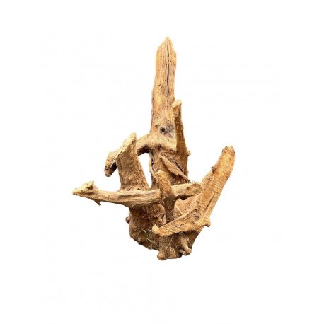 Kořen MANGROVE wood K2