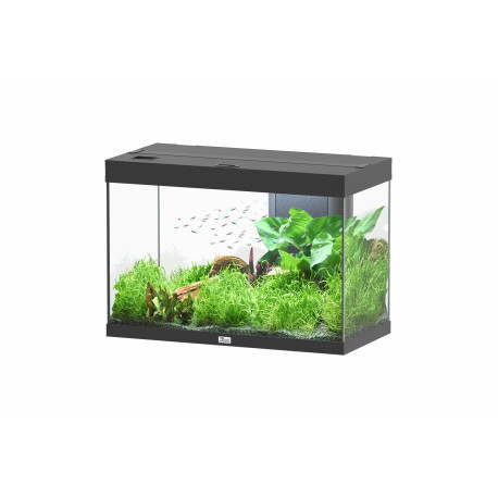 Aquatlantis SPLENDID 80x40x56